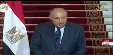 وزراء خارجية العراق والأردن يغادران القاهرة إلى بلادهم