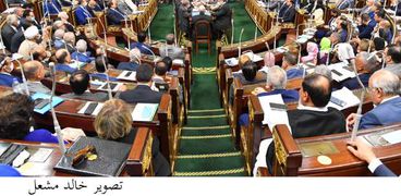 مجلس النواب يسمي تشكيل المجلس القومي لحقوق الإنسان