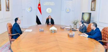 الرئيس خلال اجتماعه اليوم مع رئيس الوزراء ووزير الكهرباء