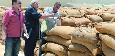 وزير التموين يتلقي تقارير استعدادات المحافظات لموسم توريد القمح
