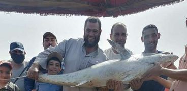 أسماك القرش مع صيادين الاسكندرية