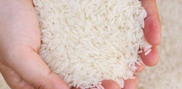 الأرز الأبيض - صورة أرشيفية