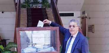 جانب من تصويت المصريين بالخارج