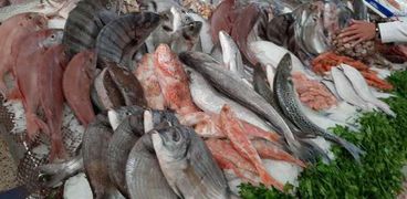استقرار أسعار الأسماك اليوم السبت 17 يوليو 2021