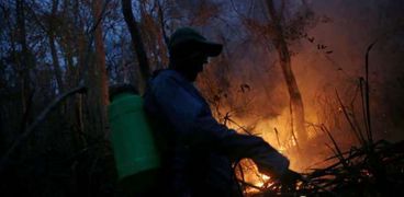 حرائق الغابات في بوليفيا