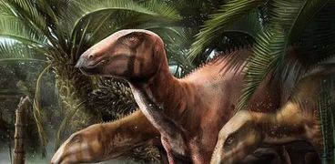 الديناصورات النادرة