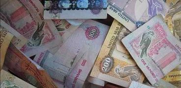 الإمارات تطرح أوراق نقدية جديدة تساعد المكفوفين في التعرف عليها