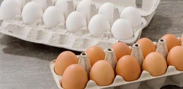البيض الأروجانيك