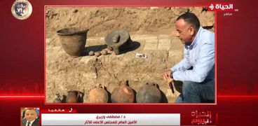 الدكتور مصطفى وزيري مع الاكتشافات الأثرية
