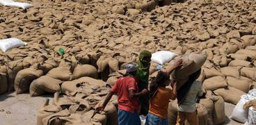 حظر تصدير القمح في الهند