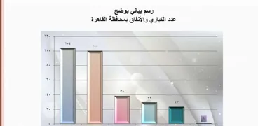رسم بياني يوضح نسبة الكباري والأنفاق بالقاهرة