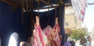 تدشين معارض  لبيع اللحوم البلدي بأسعارالكيلو بـ"100 " جنيه بالغربية