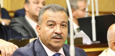 محمد العماري - رئيس "صحة النواب"