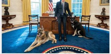 تشامب وميجور مع بايدن في مكتبه بعد القطيعة بين ترامب والحيوانات الأليفة