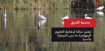 محمية الأزرق من قناة «القاهرة الإخبارية»