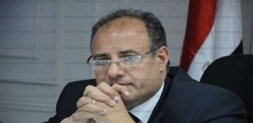 الدكتور محمد سلطان - محافظ الإسكندرية