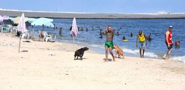 سياحة الإسكندرية تقرر غرامة لشاطئ رأس التين بسبب الكلاب وارتفاع التذكر