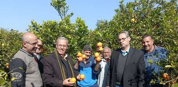 فرحة الخير والرزق.. حصاد البرتقال في أكبر قرية للموالح بالشرقية (صور)
