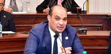 النائب علاء حمدي قريطم عضو لجنة الصناعة بمجلس النواب