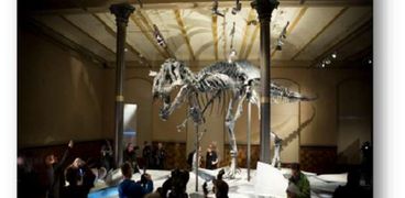ديناصورات منقرضة بسبب التغيرات المناخية