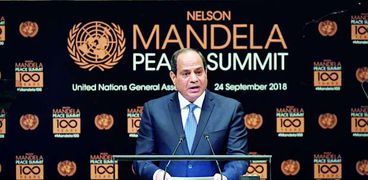 الرئيس السيسى أثناء إلقاء كلمته فى «الأمم المتحدة»