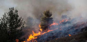 حرائق الغابات في إسرائيل
