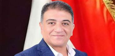 الدكتور خالد مهدي رئيس لجنة الصناعة بحزب المصريين