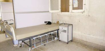 حميات العباسية.. القطط مكان المرضى أحياناً