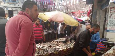 أسواق الأسماك بشمال سيناء