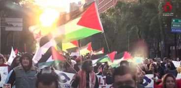 دول بأمريكا اللاتينية تدعم فلسطين ضد إسرائيل