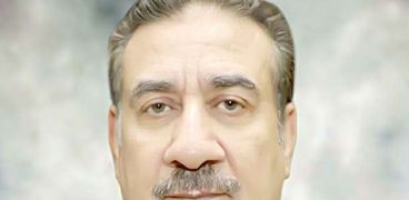 محافظ المنوفية اللواء إبراهيم أحمد أبو ليمون