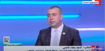 النائب أحمد بهاء شلبي رئيس الهيئة البرلمانية لحزب حماة الوطن