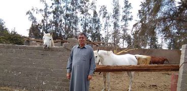 الحاج يحيى الطحاوي أحد المربين بالشرقية وسط مزرعة الخيول