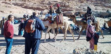 مجموعات سياحية أثناء زيارة جبل موسي