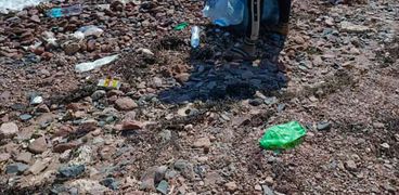 حملات نظافة شواطئ مدينة دهب بجنوب سيناء
