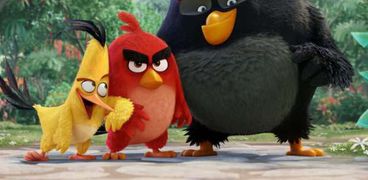 فيلم The Angry Birds Movie