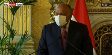 وزير خارجية مصر سامح شكري
