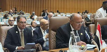خلال كلمة وزير الخارجية المصري خلال القمة الإسلامي