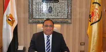 الدكتور ماجد نجم رئيس جامعة حلوان