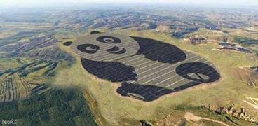 منشأة الطاقة الشمسية على شكل الباندا بالصين
