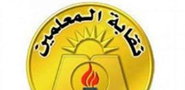 المهن التعليمية: مصر تنفذ نفس مهام التحالف الدولى بمفردها