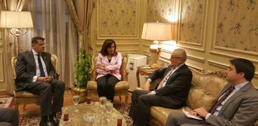 رئيس خارجية البرلمان يلتقي سفير إيطاليا بالقاهرة