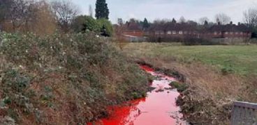 النهر الدموي في بريطانيا