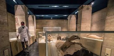 المومياوات في المتحف المصري