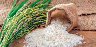 الدولة توفر كميات كبيرة من الأرز لسد احتياجات السوق