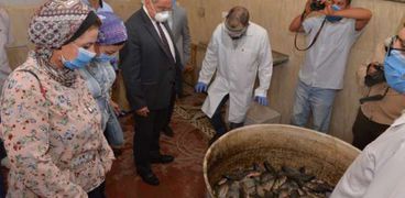 300 كجم سمك بلطي باكورة إنتاج مزارع المستشفى البيطري التعليمي بجامعة أسيوط