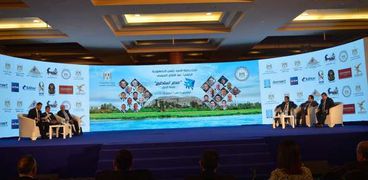 جلسة "الريف الجديد" بمؤتمر "مصر تستطيع بأبناء النيل"