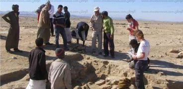 بالصور| اكتشاف مقبرة جماعية لـ"حيوانات محنطة" في جنوب البحر الأحمر
