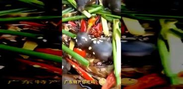 مطعم صيني يقدم الفئران الحية في وجباته