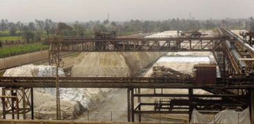 مصانع السكر من «القصب»
